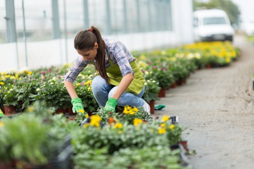 A woman wearing a yellow apron, blue jeans, and green gardening gloves is kneeling on a narrow outdoor path in a greenhouse or garden centre, tending to flower pots with bright yellow and purple flowers. The background features a row of potted plants and flowers along a gravel pathway, with a modern glass structure and natural light filtering through, indicating an outdoor gardening or landscaping environment in Hampstead. The scene showcases the vibrant colors of the flowers, the lush greenery of the plants, and the well-maintained garden layout, emphasizing professional gardening care provided by Lawn Mowing Hampstead within a landscaped outdoor space designed for aesthetic appeal and outdoor enjoyment.