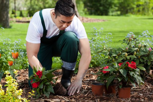 Green waste sorted for recycling from a Hampstead garden clearance
