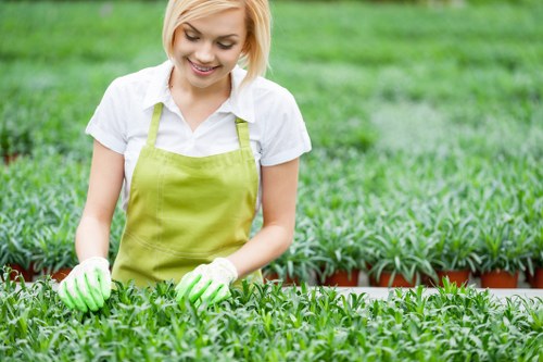 In the image, a young woman with short blonde hair wearing a white shirt, a bright green gardening apron, and matching gloves is tending to a lush, green garden in an outdoor setting. She is smiling gently while carefully examining or handling the healthy, vibrant foliage of small potted plants arranged in rows, likely in a nursery or backyard garden. Behind her, the garden features a well-maintained lawn or grassy area, with additional plant beds or rows of similar potted plants visible. The environment appears to be outdoors during daylight hours with natural lighting, and the overall scene conveys attentive gardening or plant care activities typical of professional lawn and garden maintenance services offered by companies like Lawn Mowing Hampstead in the Hampstead area. The setting emphasizes healthy, thriving greenery with textures of soft grass, glossy leaves, and the structured arrangement of plant containers, contributing to a professional and inviting outdoor landscape.