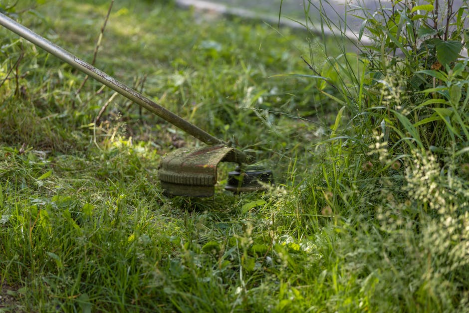 A close-up view of a garden during daytime shows a well-maintained lawn with short, trimmed grass and a variety of lush green plants. In the foreground, a garden rake with a wooden handle and metal ti